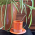 Orange Expresso Cup